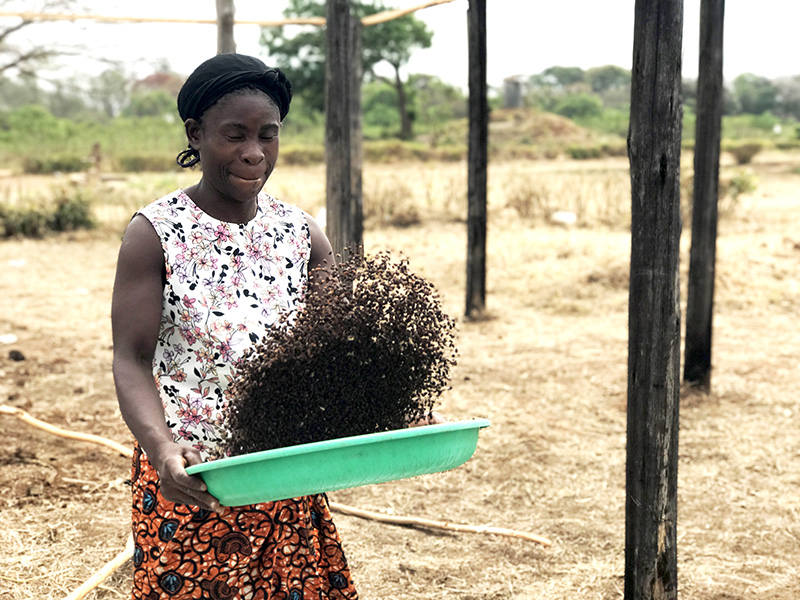 Malawi - Projeto Cotton Shire-Zambeze.JPEG