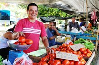 Organizações colombianas fortaleceram capacidades em oficina sobre acesso a mercados em circuitos curtos de comercialização