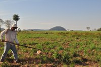 Países da América Latina e do Caribe fazem um balanço das lições aprendidas e das oportunidades nas políticas agroambientais