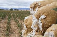 Países do Projeto Cotton 4 + Togo recebem doação de equipamentos agrícolas