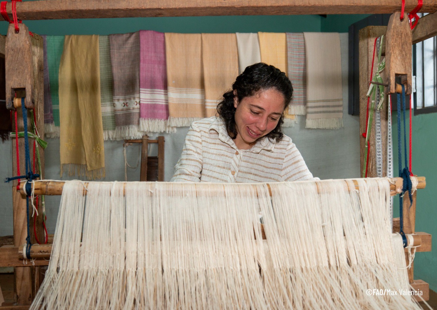 desafios e oportunidades para as mulheres artesãs algodoeiras é o tema de webinário regional.jpeg