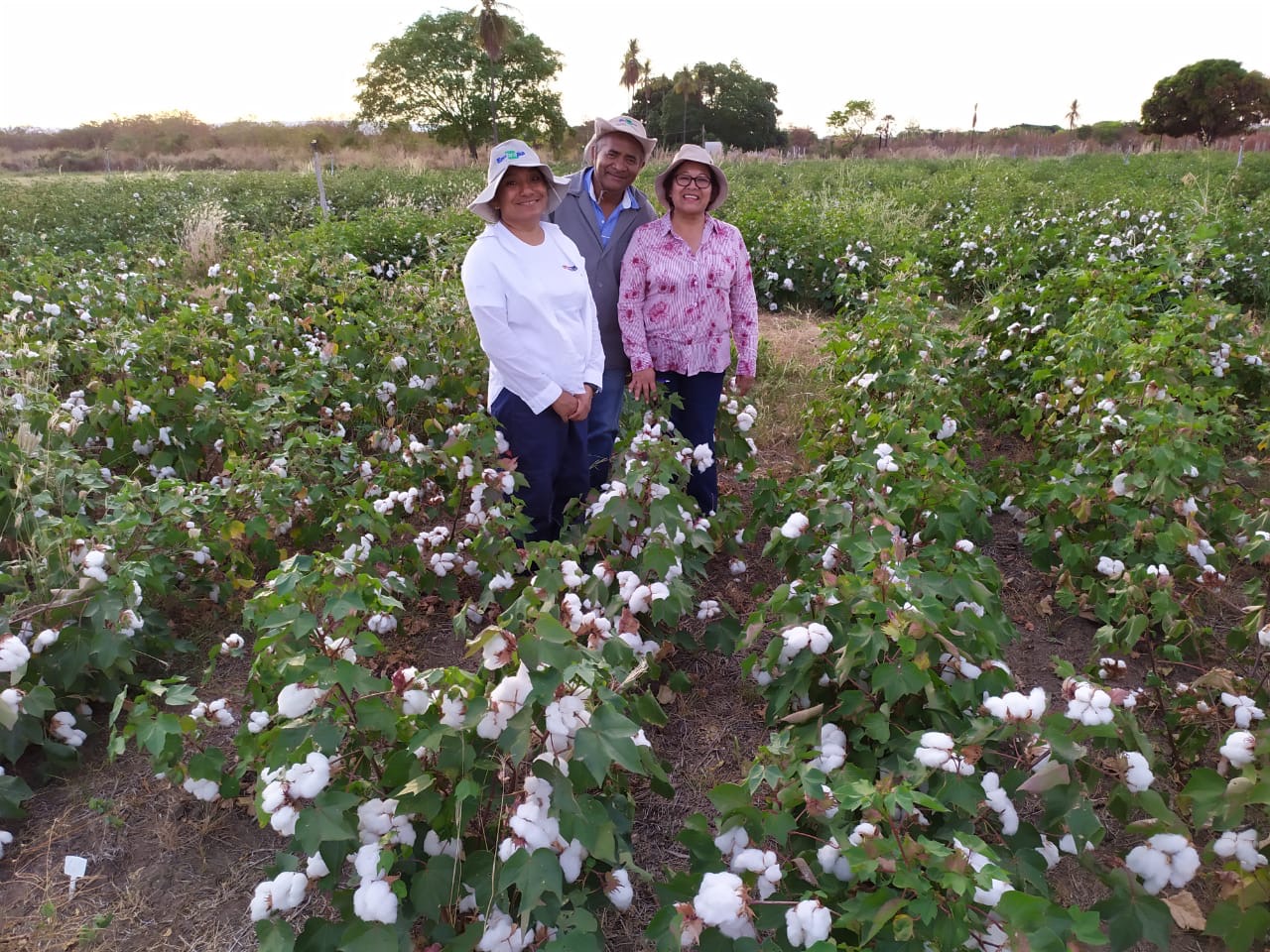 Pesquisadoras do Peru são treinadas no Brasil em inovações tecnológicas e boas práticas.JPEG