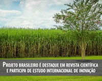 Projeto brasileiro é destaque em revista científica e participa de estudo internacional de inovação