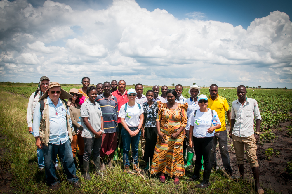 Projeto Cotton Victoria avança, na Tanzânia e no Burundi 8.JPEG