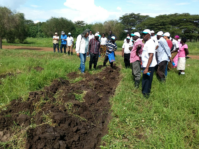 Projeto Cotton Victoria realiza treinamento sobre conservação de solos e água na África 4.JPEG