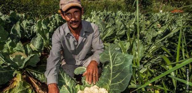 Projeto de Apoio a Segurança Alimentar e Nutricional na América Latina e Caribe é concluído 2.JPEG