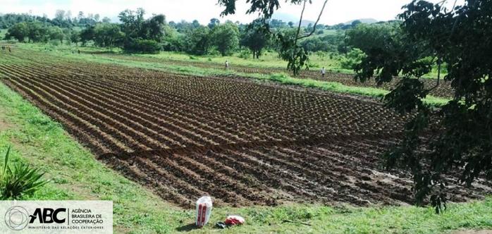 Projeto de cooperação em Moçambique e Malaui contribui para o desenvolvimento local 2.JPEG