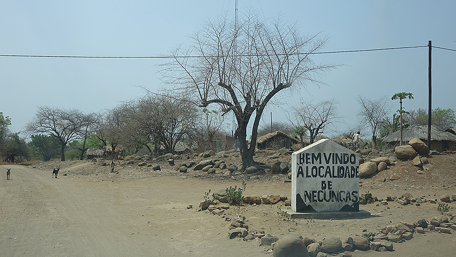 Projeto Shire-Zambeze realiza missão de avaliação final 5.JPEG