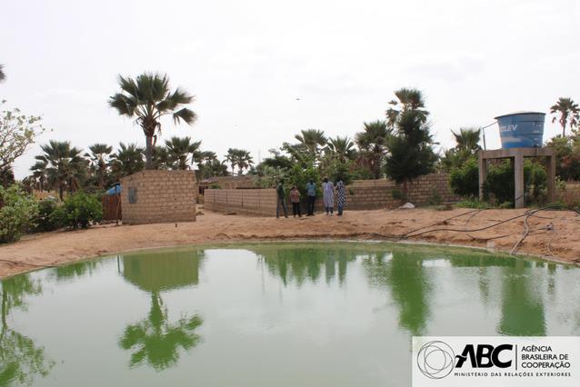 Projeto sobre produção agroecológica no Senegal vai para a segunda fase 2.JPEG