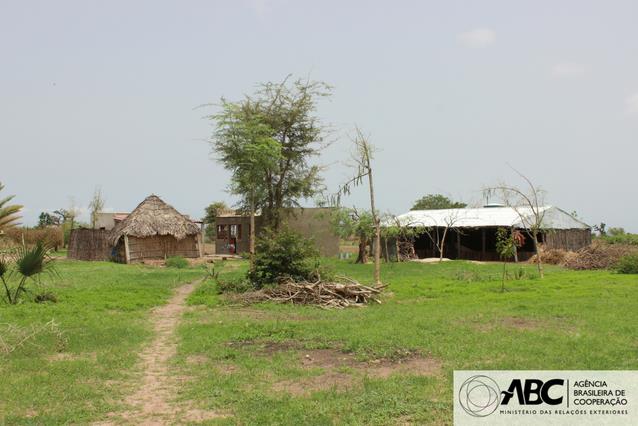 Projeto sobre produção agroecológica no Senegal vai para a segunda fase 3.JPEG