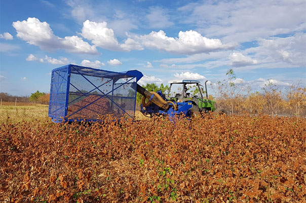 Protótipo de colheitadeira de algodão beneficiará agricultura familiar.JPEG