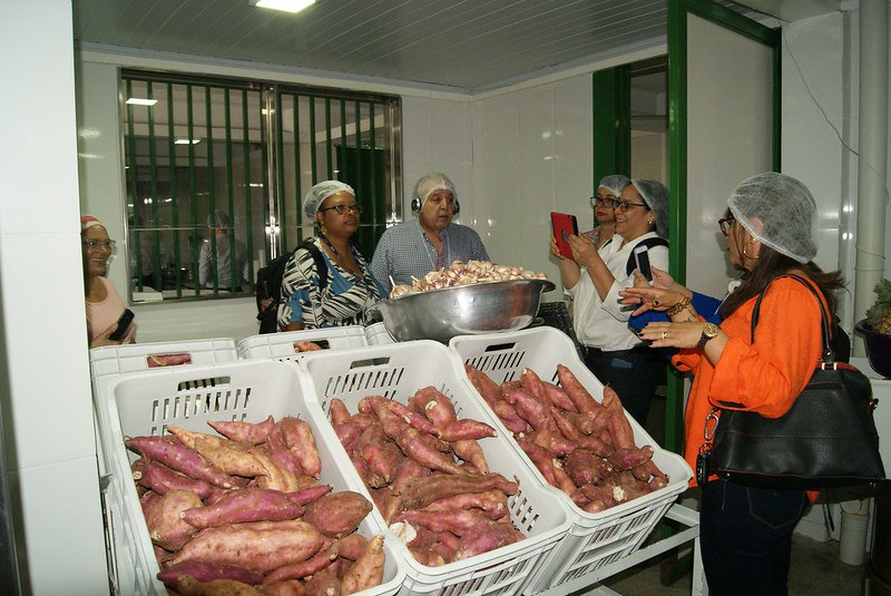 Quatro países visitaram o Brasil para aprofundar conhecimentos em programas de alimentação escolar 4.JPEG