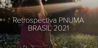 Relatório PNUMA 2021: avanços em projetos de meio ambiente