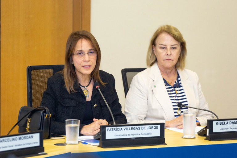 Embaixadora da República Dominicana no Brasil, Patricia de Jorge.jpeg