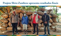 Resultados Finais do Projeto Shire-Zambeze são apresentados em reunião remota