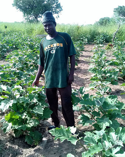 Sementes brasileiras apresentam excelente produtividade no Senegal.JPEG