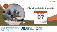 Série de eventos comemorativos do Dia Mundial do Algodão têm início em 7 de outubro