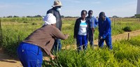 Unidade Técnica Demonstrativa no Zimbábue Recebe Novo Equipamento de Irrigação em Projeto Coordenado pela ABC