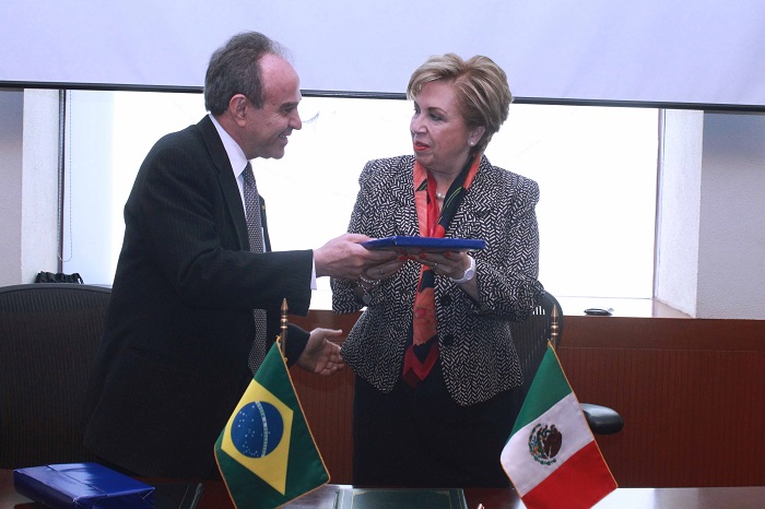 VI Reunião do Grupo de Trabalho de Cooperação Técnica Brasil- México 1.JPEG