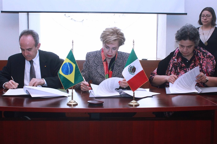 VI Reunião do Grupo de Trabalho de Cooperação Técnica Brasil- México 3.JPEG