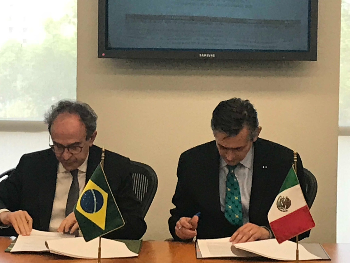 VII Reunião do Grupo de Trabalho de Cooperação Técnica Brasil-México 1.JPEG