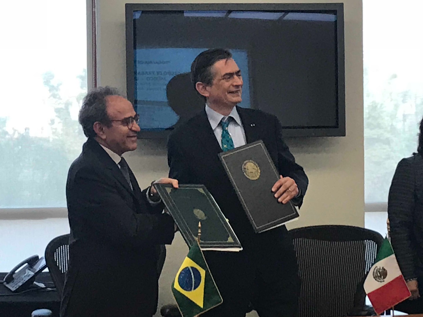 VII Reunião do Grupo de Trabalho de Cooperação Técnica Brasil-México 2.JPEG