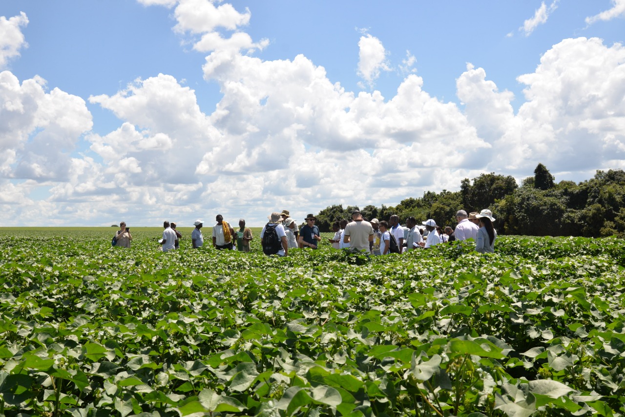 Visitantes africanos conhecem fazenda de algodão em Minas Gerais 1.jpeg