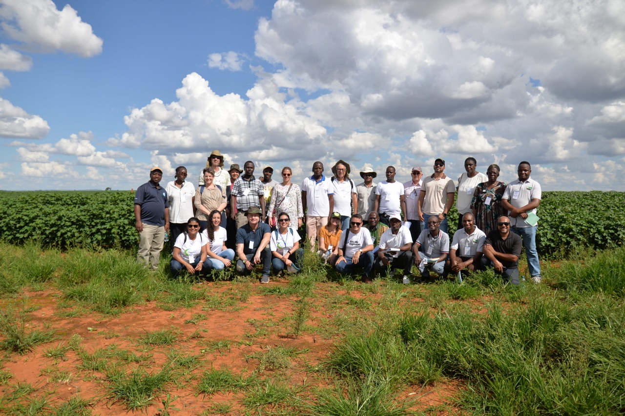 Visitantes africanos conhecem fazenda de algodão em Minas Gerais 6.jpeg