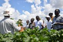 Visitantes africanos conhecem fazenda de algodão em Minas Gerais.jpeg