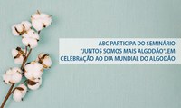 Webinário “Juntos Somos Mais Algodão” celebra Dia Mundial do Algodão