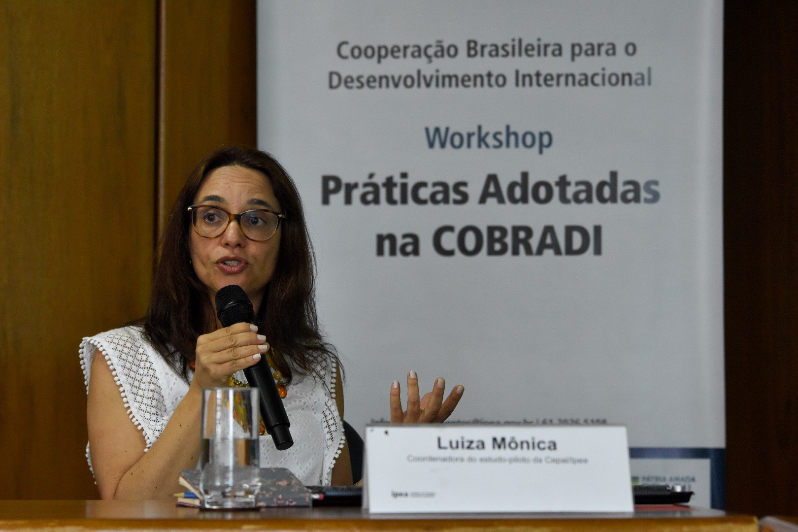 Workshop analisa boas práticas na cooperação internacional do Brasil 3.JPEG