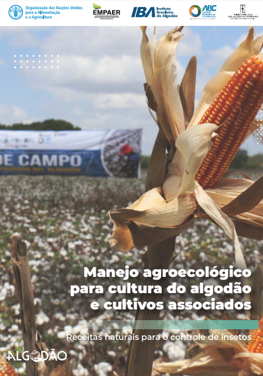 Manejo Agroecológico para cultura do algodão e cultivos associados