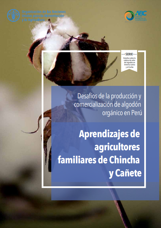 Desafios de la produccion y comercializacion de algodon organico en Peru.png