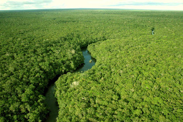 amazonia_o_maior_patrimonio_do_pais_em_biodversidade.jpg