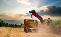 Brazilian agribusiness exports reach $15.20 billion in June and $82.39 billion in the first half of the year