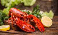 Market access in Singapore for Brazilian live lobster exports