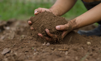 Ministry of Agriculture and Livestock offers course on soil health and agricultural sustainability in English and Spanish