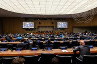 United Nations adopts political declaration on antimicrobial resistance at UNGA