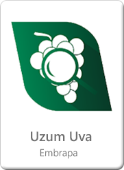 Uzum-Uva-(Embrapa).png