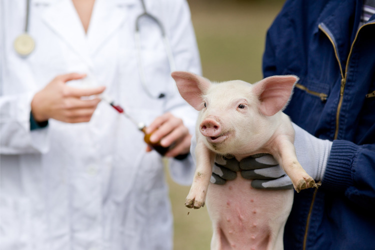 Produtos Veterinários.jpg