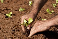 Agricultores do Centro-Oeste recebem 86 contratos de crédito fundiário