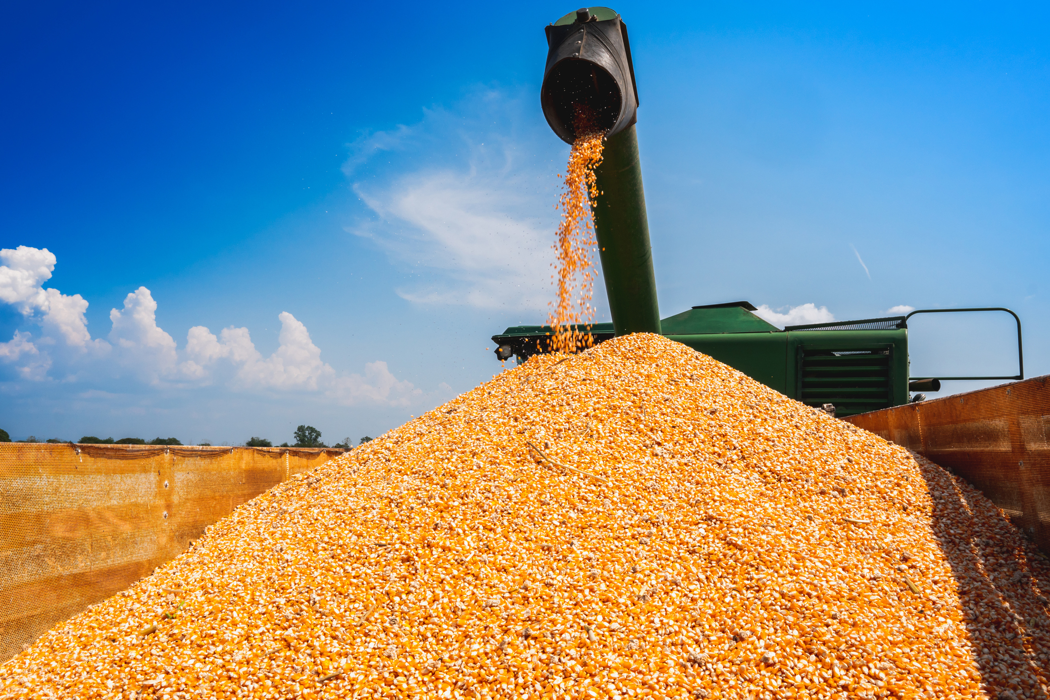 Brasil deve alcançar recorde na safra de grãos 2021/22 com mais de 271  milhões de toneladas - Revista Cultivar