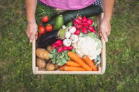 Grupo de Trabalho do Mapa propõe estratégias para o combate às perdas e ao desperdício de alimentos