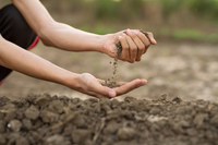 Instrução Normativa define novo método de classificação do solo no Zoneamento Agrícola