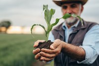 Programa de Seguro Rural apresenta novidades no Plano Safra