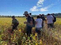 Técnicos da Conab participam de intercâmbio com o USDA