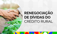 Pecuaristas de corte da região Norte do país podem renegociar dívidas do crédito rural até 31 de maio