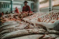 Abertura do mercado do Egito para pescados e derivados brasileiros