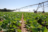 Agricultura cresce no Brasil, mesmo com mudanças climáticas