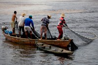 Autorização de pesca será renovada somente nas Superintendências Federais de Agricultura